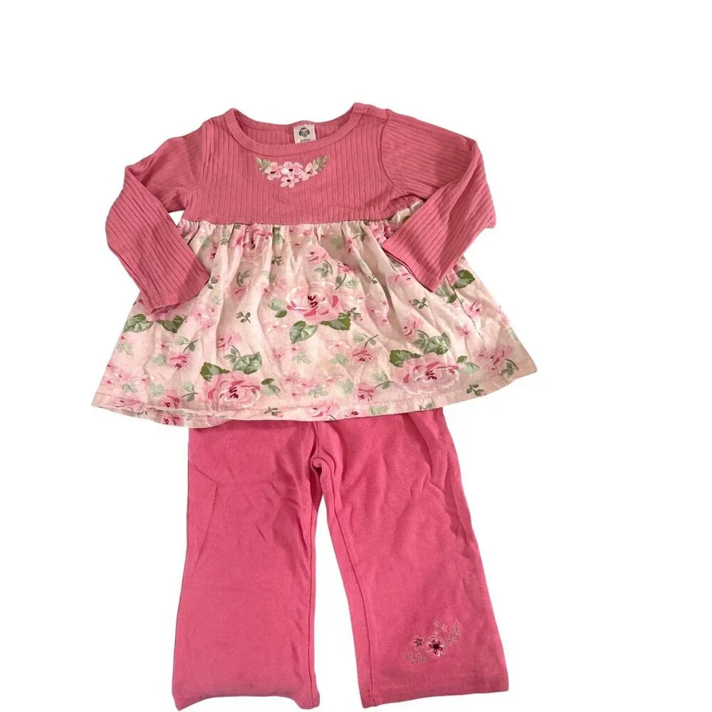 Gerber Toddler Girls 18M 2 Piece‎ Pink Floral Long-Sleeve Top & Pants Set